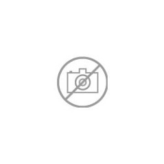 Devia Correa Sport 2 Apple Watch 38/40 Lima DSTWBS240Y