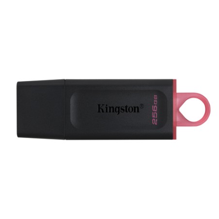 Pendrive Kingston Exodia 256Gb USB-A Negro (DTX/256GB)