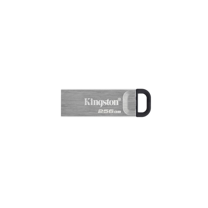 Pendrive Kingston 256Gb USB-A 3.0 Plata (DTKN/256GB)