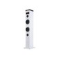 Torre de Sonido NGS 50W Bluetooth USB (SKYCHARMWHITE)