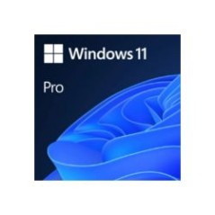Windows 11 Pro 64Bit OEM DVD (FQC-10552)