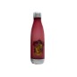Botella Plástico 650ml Harry Potter (HPRJV630)