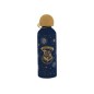 Botella KIDS LICENSING Harry Potter (HP0001)