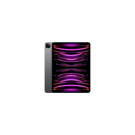 Apple iPad Pro 12.9" M2 8Gb 256Gb WF Gris(MNXR3TY/A)