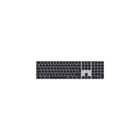 Teclado Apple Magic USB Bluetooth Negro/Plata(MMMR3Y/A)