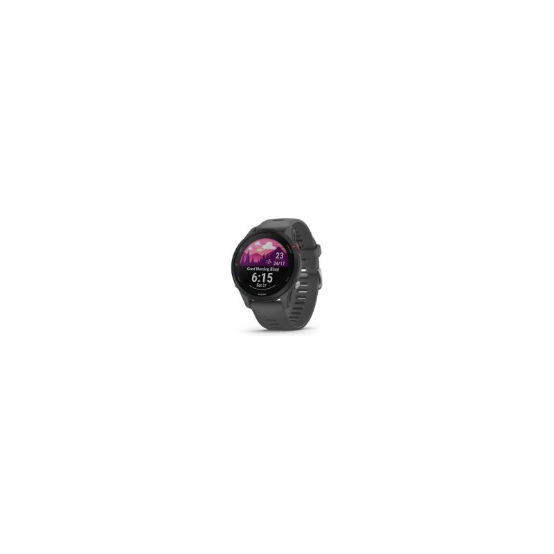 Smartwatch Garmin Forerunner 255 Gris (010-02641-10)