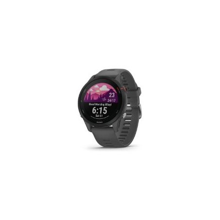 Smartwatch Garmin Forerunner 255 Gris (010-02641-10)