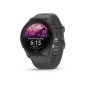 Smartwatch Garmin Forerunner 255 Gris (010-02641-10)