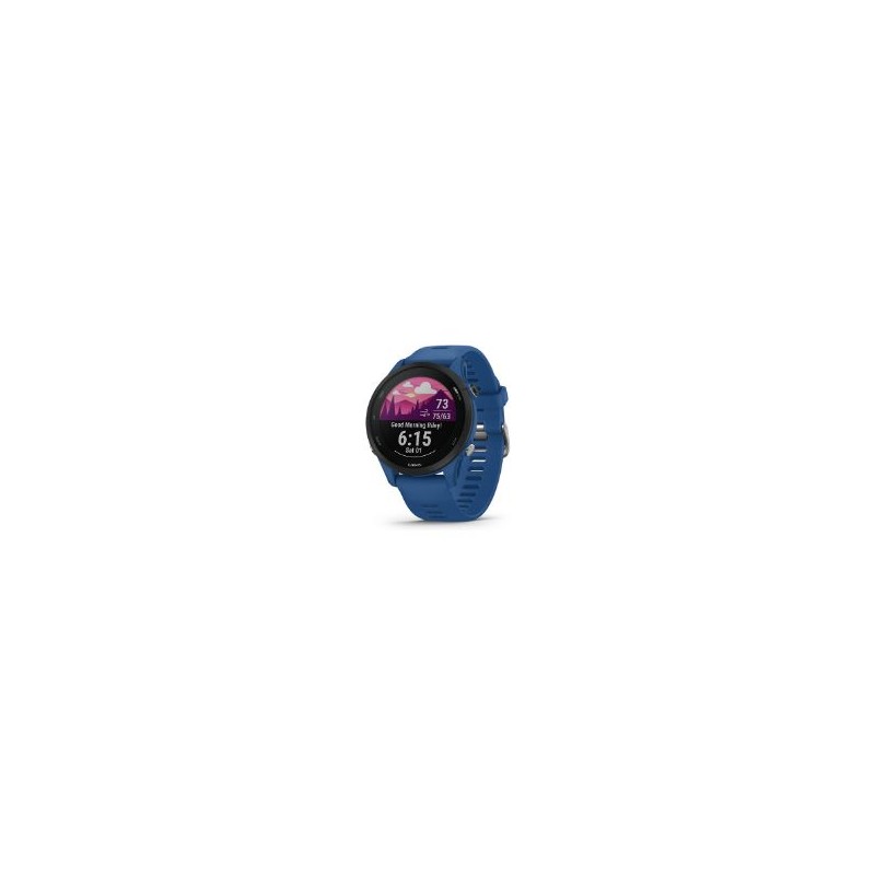 Smartwatch Garmin Forerunner 255 Azul (010-02641-11)