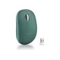 Ratón NGS FOG Pro Óptico RF 2.4GHz Verde (FOGPROGREEN) Ratón NGS FOG Pro Óptico RF 2.4GHz Verde (FOGPROGREEN)