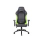 Silla Newskill Akeron Negra/Verde (NS-CH-AKERON-GREEN) Silla Newskill Akeron Negra/Verde (NS-CH-AKERON-GREEN)