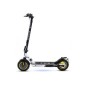 Patinete SmartGyro Z-One 10" 400W DGT Gris (SG27-393) Patinete SmartGyro Z-One 10" 400W DGT Gris (SG27-393)
