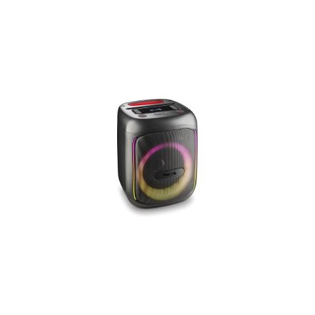Altavoz NGS LED 80W TWS BT/USB/Aux Negro (WILDSWAGGO)