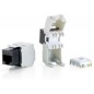 Conector EQUIP RJ45/H Cat6 Kit 8 Negro/Blanco(EQ769211)