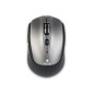 Ratón NGS Óptico Bluetooth 1600dpi Gris (FRIZZDUAL)