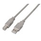 Cable AISENS USB-A/M a USB-B/M 3m Beige (A101-0003)