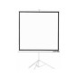 Pantalla Proyección Approx 200x200cm Trípode (APPP200T)