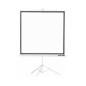 Pantalla Proyección Approx 180x180cm Trípode (APPP180T)