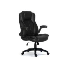 Silla de Oficina EQUIP Executive Negra (EQ651006)