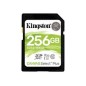 Kingston Canvas Plus SDXC 256Gb (SDS2/256GB) Kingston Canvas Plus SDXC 256Gb (SDS2/256GB)