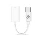 Adaptador CELLY USB-C a Lightning (USBCLIGHTADAPT)