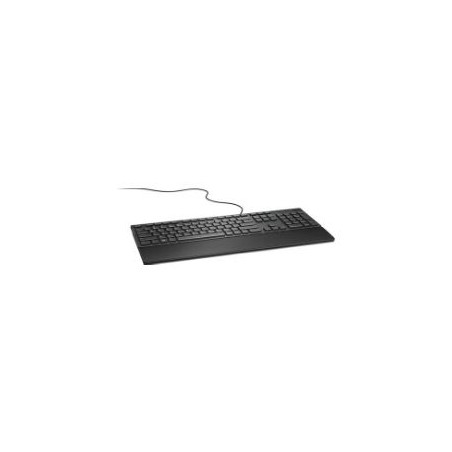 Teclado Dell KB-216 QWERTY USB Negro (580-ADGS)
