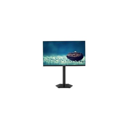 Monitor Approx 24" FHD 120Hz HDMI DP (APPM24SBV4)
