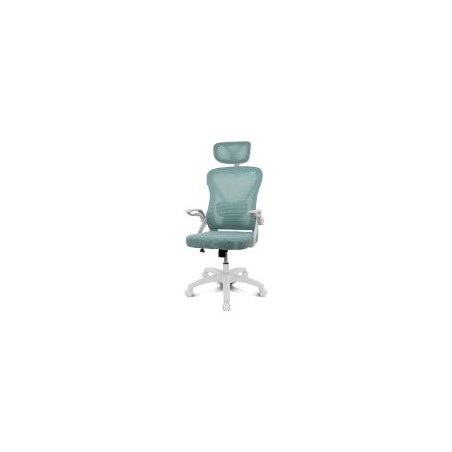 Silla Drift Ergonómica Turquesa (DRAIR35WT)