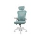 Silla Drift Ergonómica Turquesa (DRAIR35WT) Silla Drift Ergonómica Turquesa (DRAIR35WT)