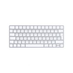 Teclado Apple Magic Keyboard (MLA22Y/A)